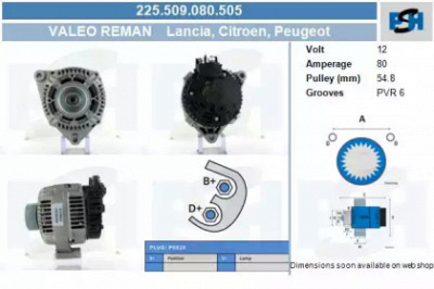 CV PSH 225509080505 -  